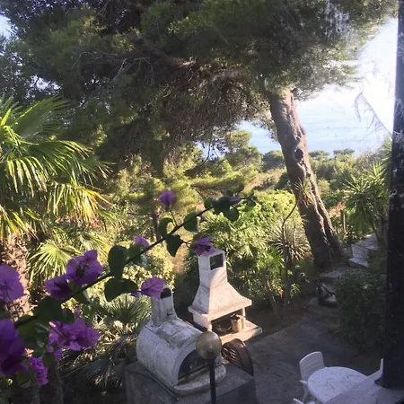 Lilli Villa