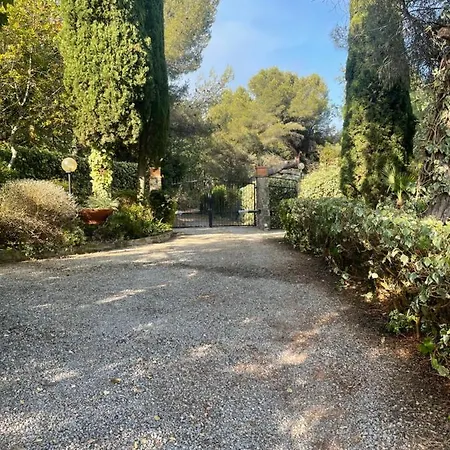 Lilli Villa