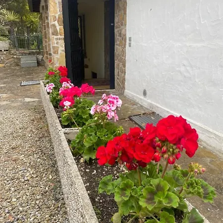 Villa Lilli Cipressa